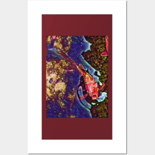 carp in pond - bright colors Posters and Art